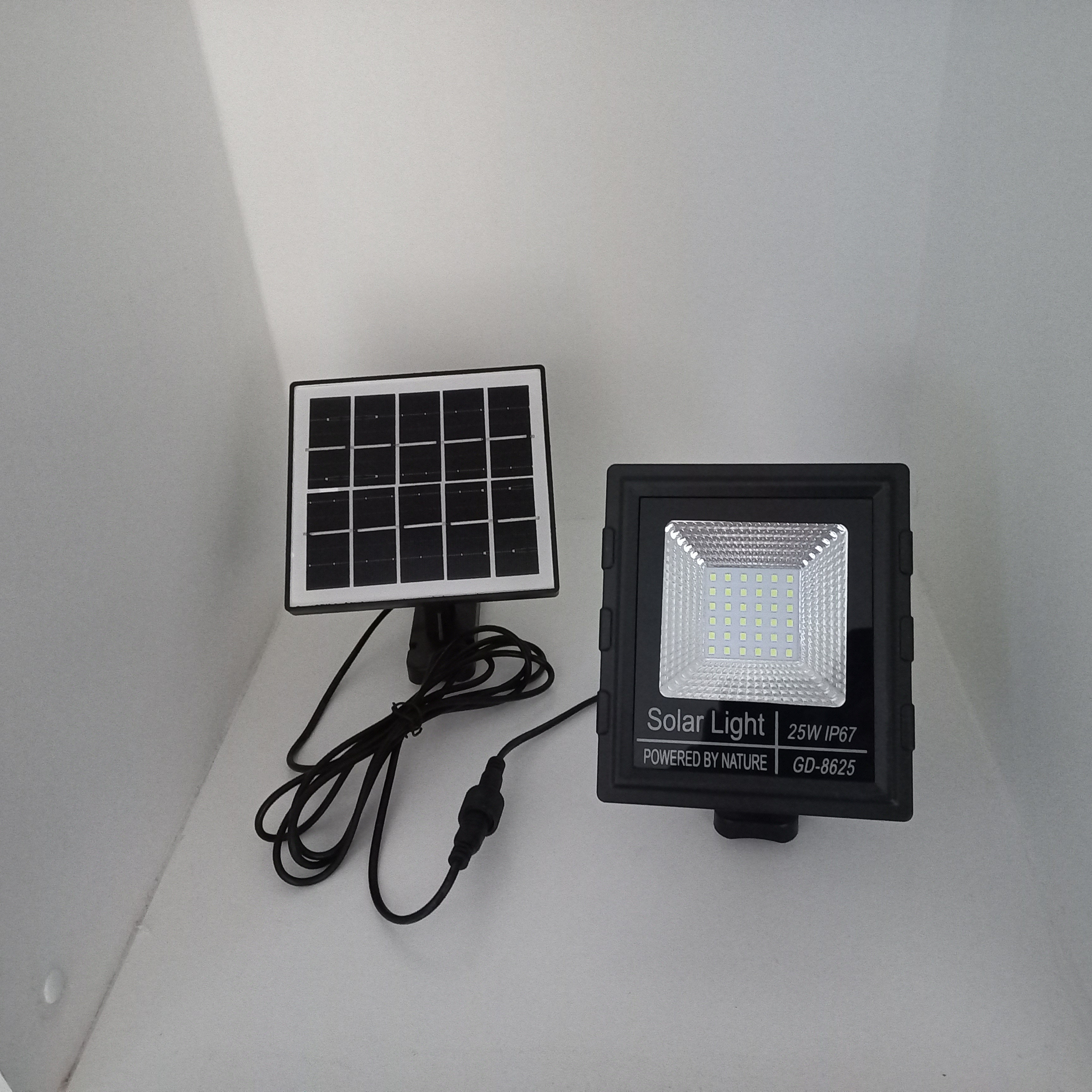 25Watt Solar Floodlight with Remote