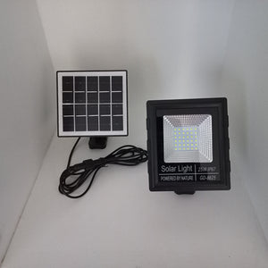 25Watt Solar Floodlight with Remote