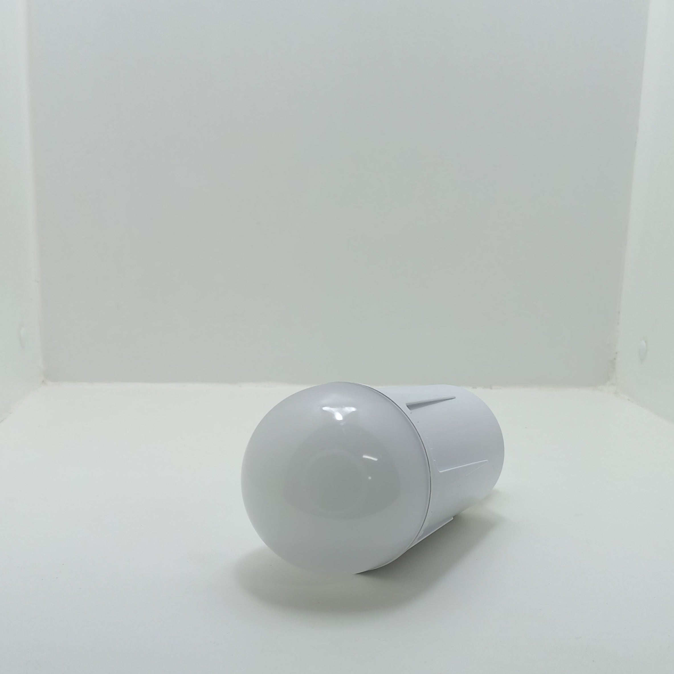 Rechargeable Globe with Replaceable Lithium-ion battery