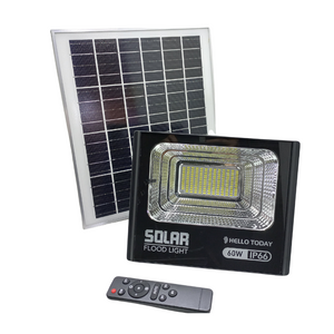 60Watt Solar Floodlight with Remote