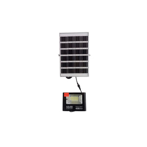 25Watt Solar Floodlight with Remote